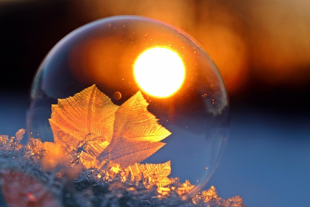 frozen
