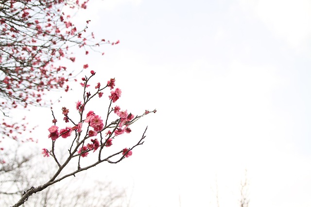 march