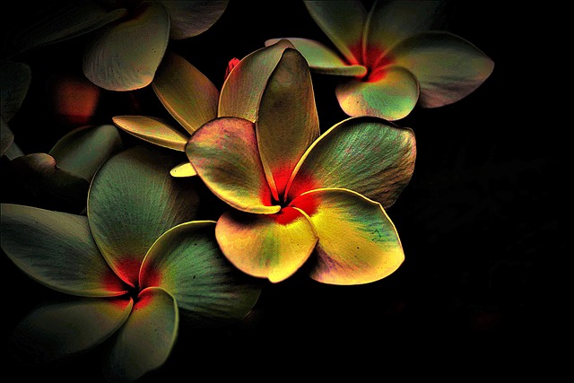 abstract
