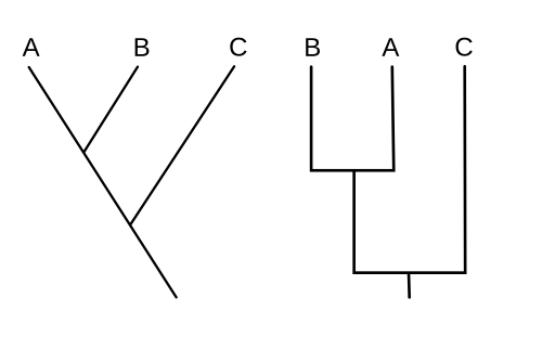 cladogram