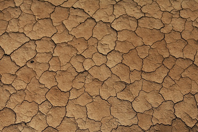 drought