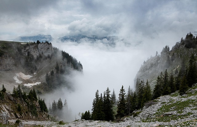 mist