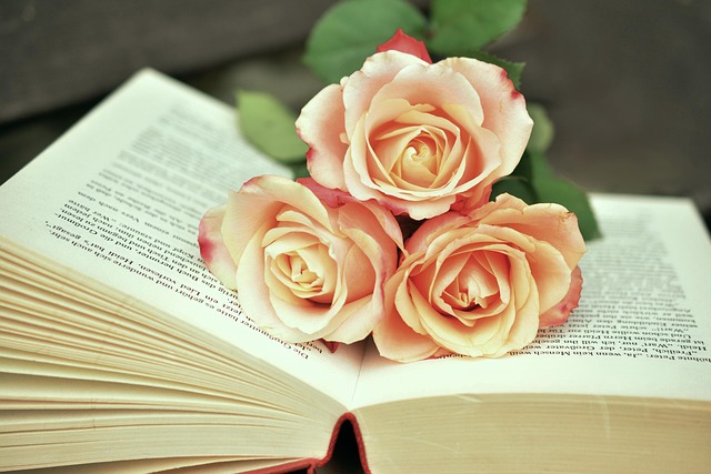 read books