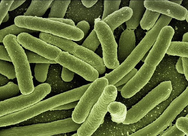 infection