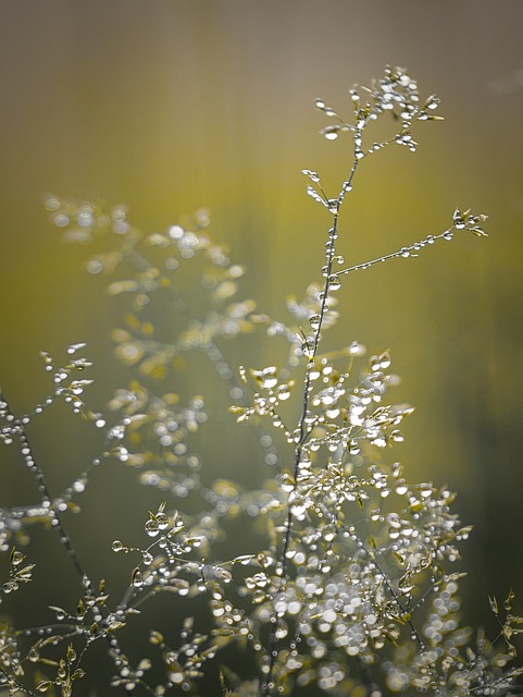 depth