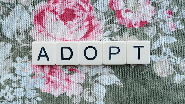 adopt