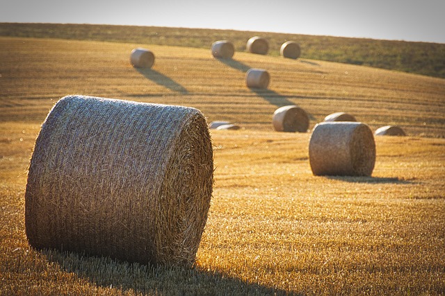 yield