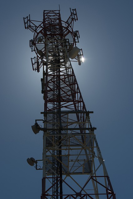 detector