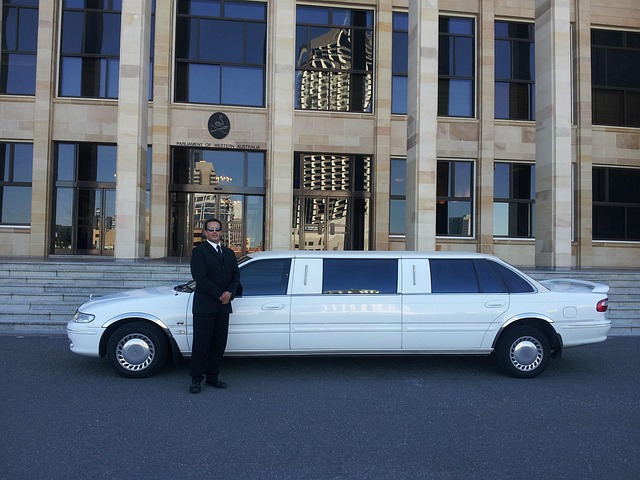 chauffeur