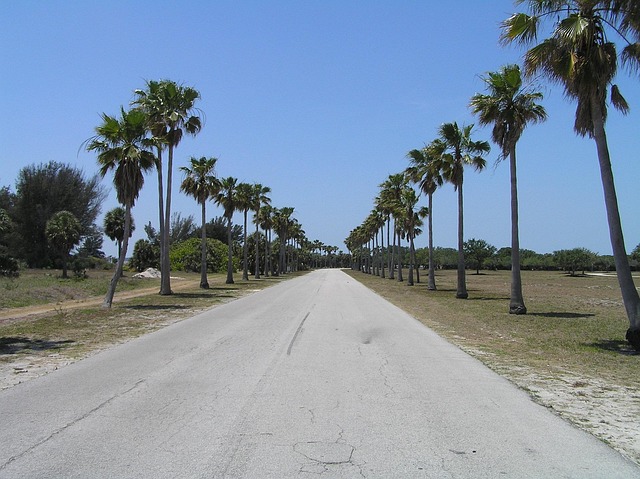 straight ahead