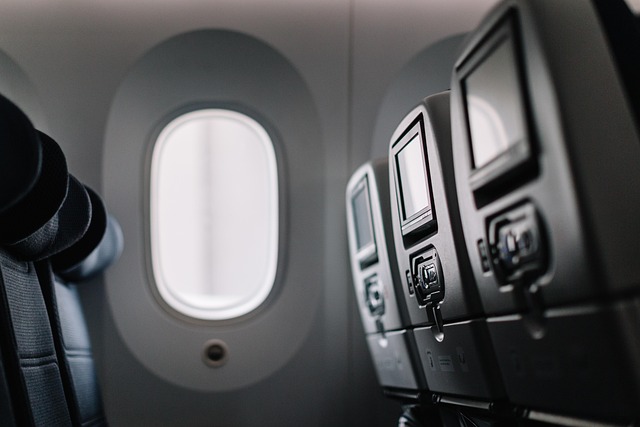 flight