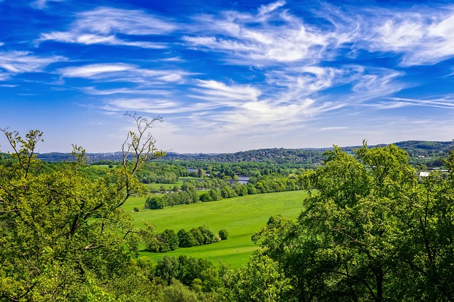 countryside