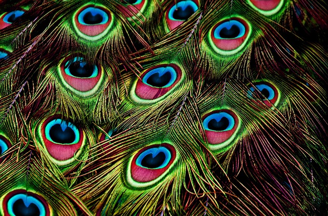 pattern
