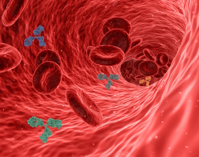 immunity