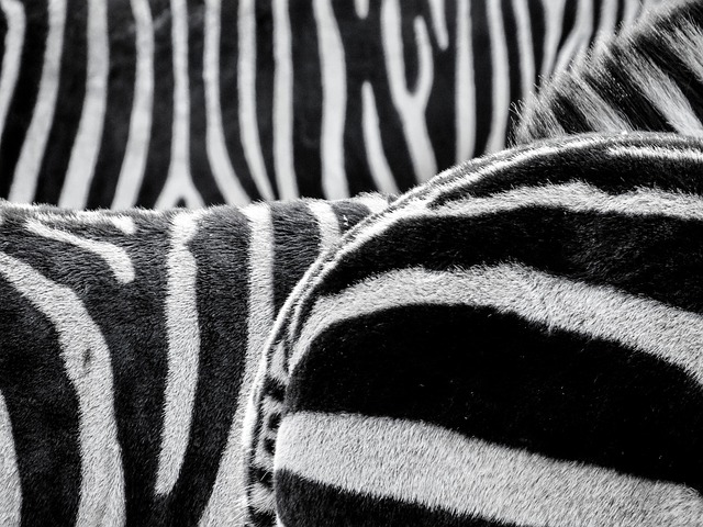 striped
