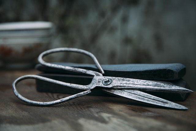 scissors