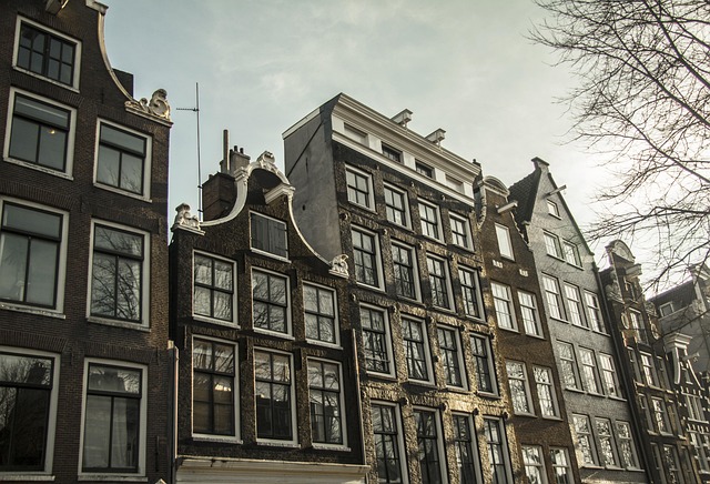dutch