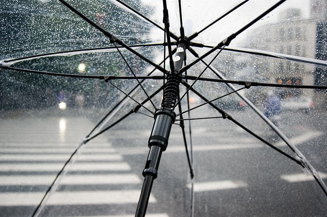 umbrella