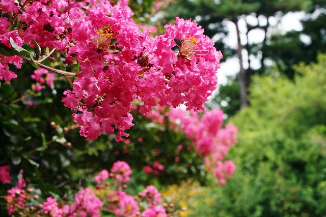 beautify