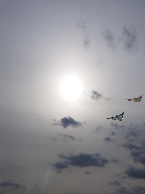 fly a kite