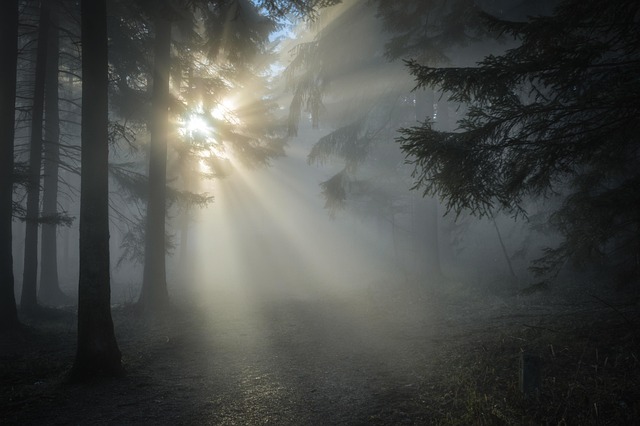 fog