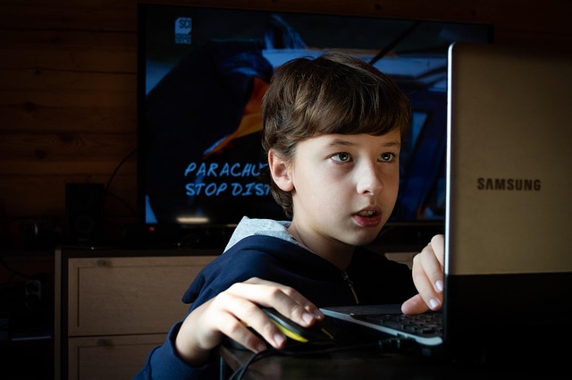 surf the internet