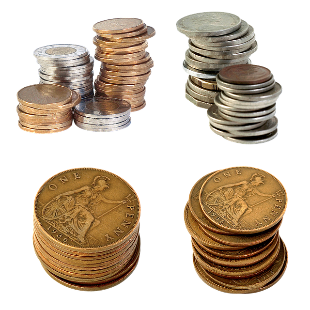 dividend