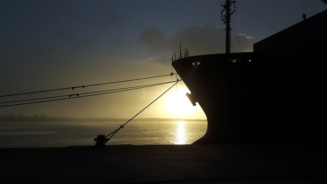 stevedore