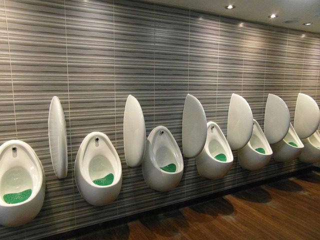 lavatory