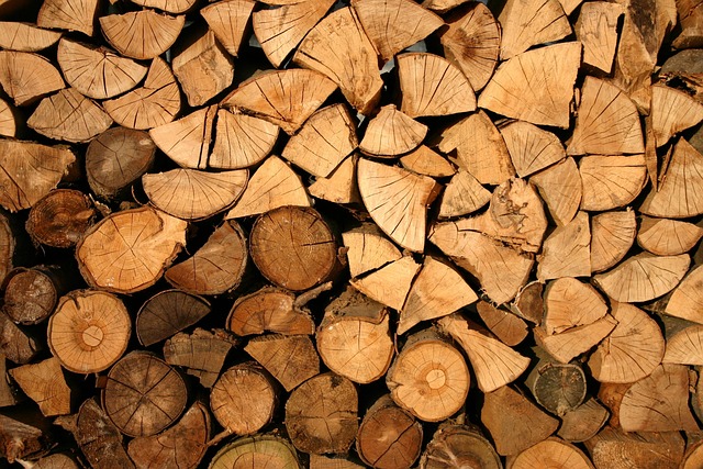 deforestation