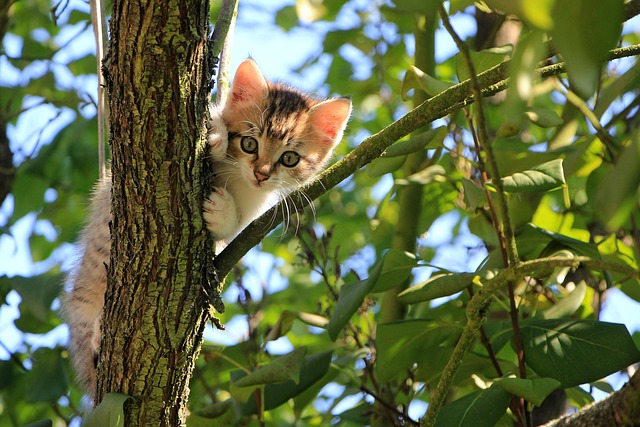 curious