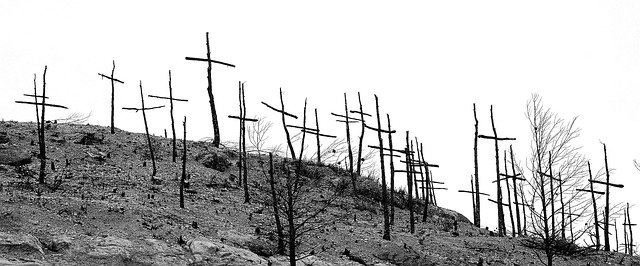 degradation