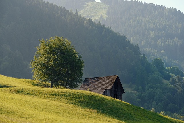 cabin