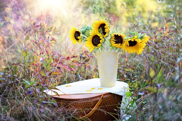 vase