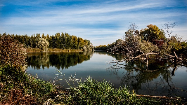 river bank