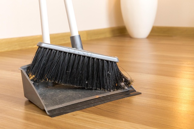 dustpan
