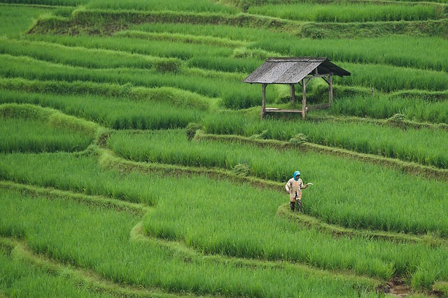 farming