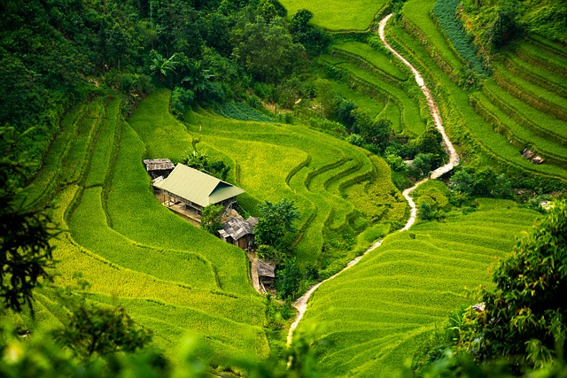 isolation