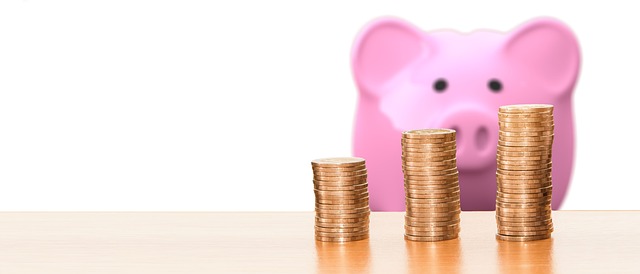 expenditure