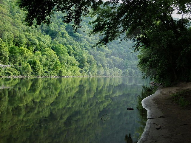 undisturbed