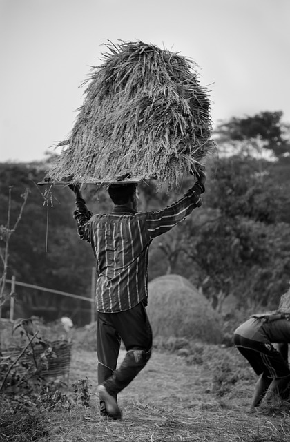 hard-working