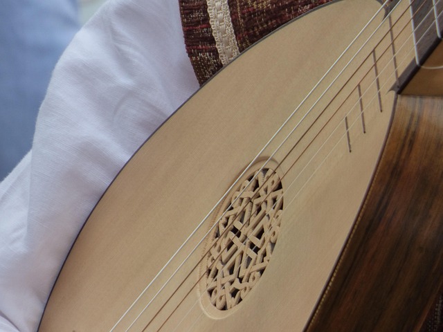 moon-shaped lute