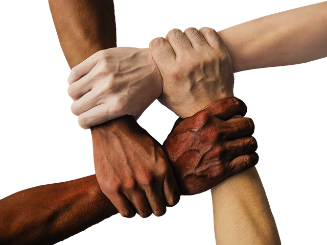 inclusion