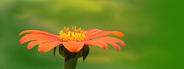 bright